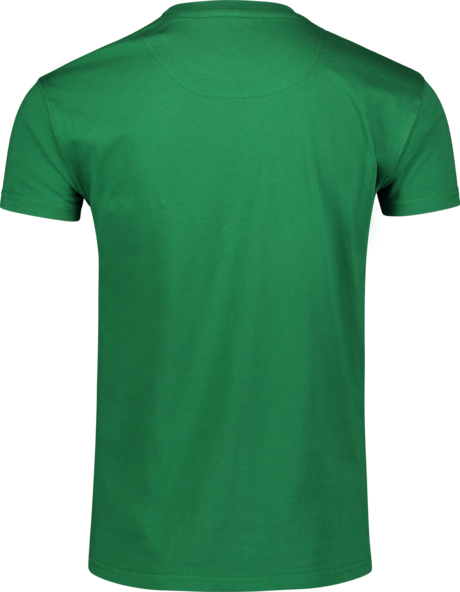Zelené pánské bavlněné tričko REMISS